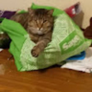 Meet your Posher, Shereen